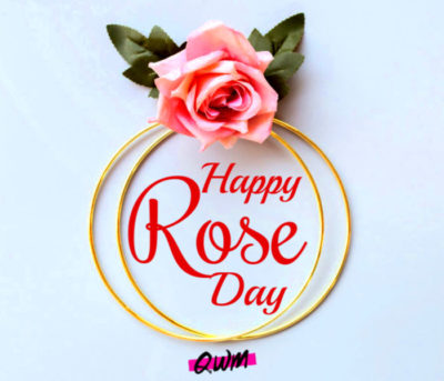 Succulent Rose Day Images - Thumping Rose Day Wallpapers