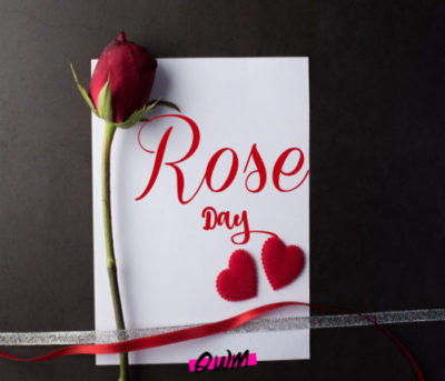 Happy Rose Day Quotes for Husband - Romantic Rose Day Wishes for Husband
