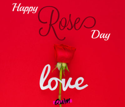 happy rose day 2022 photos hd download