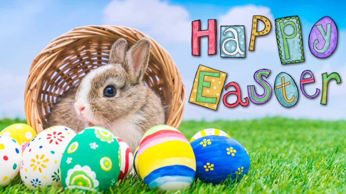 101+ Free Happy Easter Images 2022, Funny Easter Egg Images & Bunny Photos Free HD Download