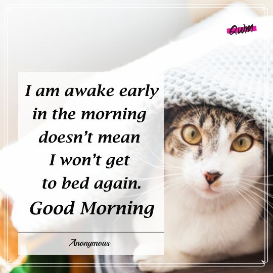 Funny Good Morning Quotes For Friends