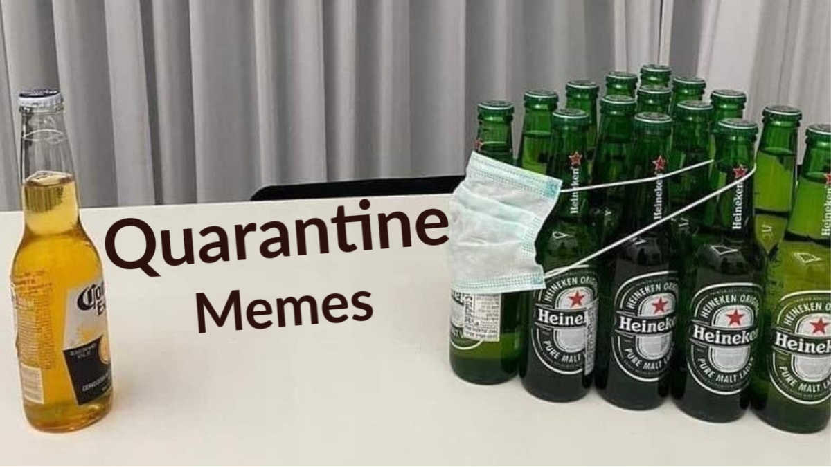 Quarantine Memes That Will Make You Laugh Throughout Quarantine