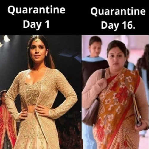 Funniest Quarantine Memes Videos