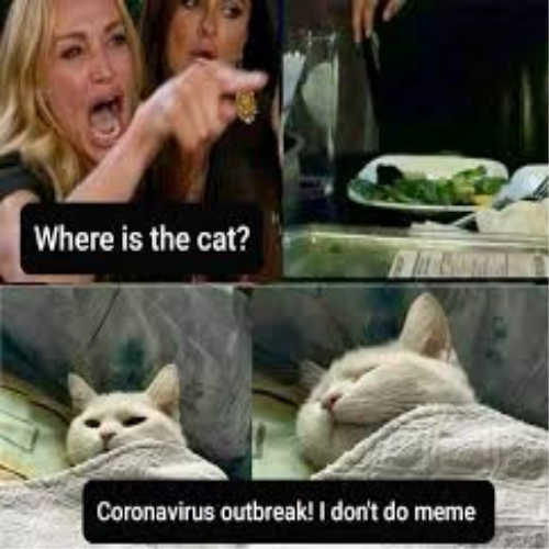 Best Quarantine Memes