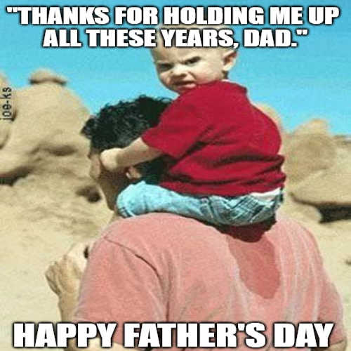 best fathers day memes