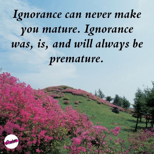 i hate ignorance quotes