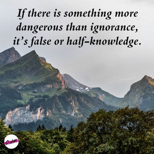 quotes on ignorance by someone