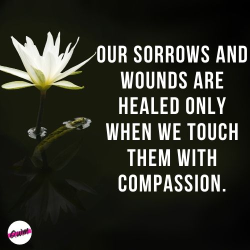 Quotes on Compassion By Buddha
