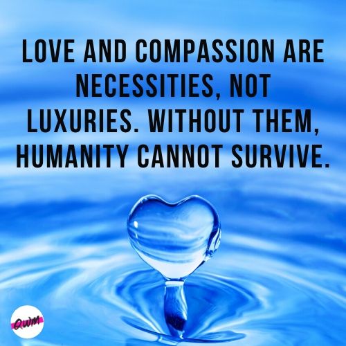 Quotes on Compassion by Dalai Lama