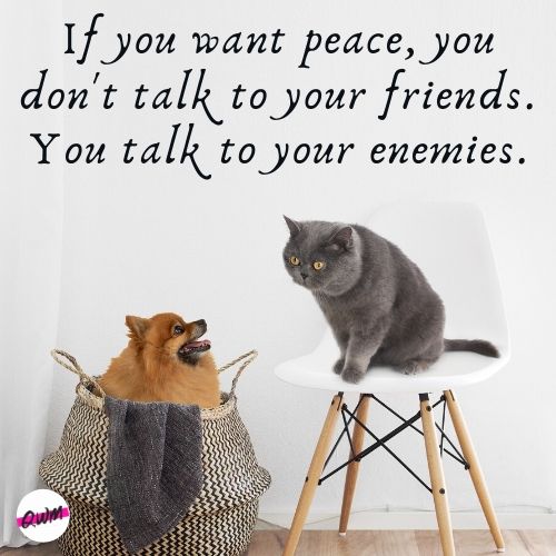 peace vibes quotes