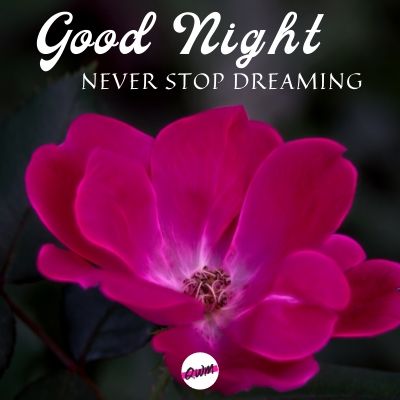 good night never stop dreaming