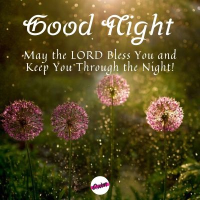 Good night, may the lord bless you and keep you through the night!