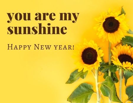 Romantic Happy New Year 2023 Messages for Girlfriend | Lovely New Year Wishes for Her