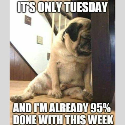 Positive Tuesday Memes