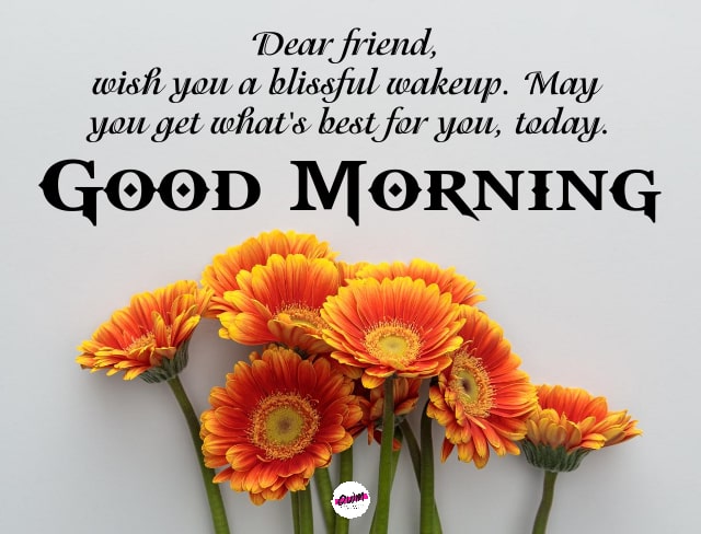 Heart Touching Good Morning Messages for Friends 