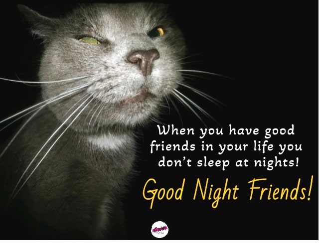 Funny Good Night Wishes For Friends