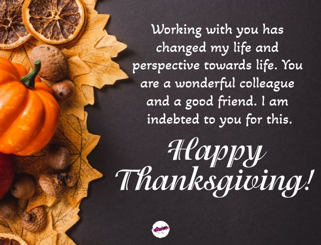 Happy Thanksgiving Messages for Colleagues