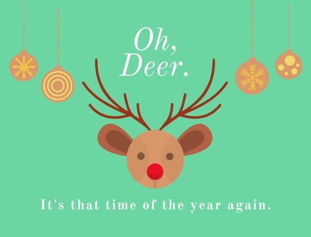 funny deer Christmas pictures
