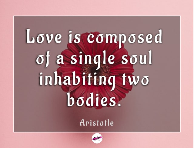 philosophical love quotes 