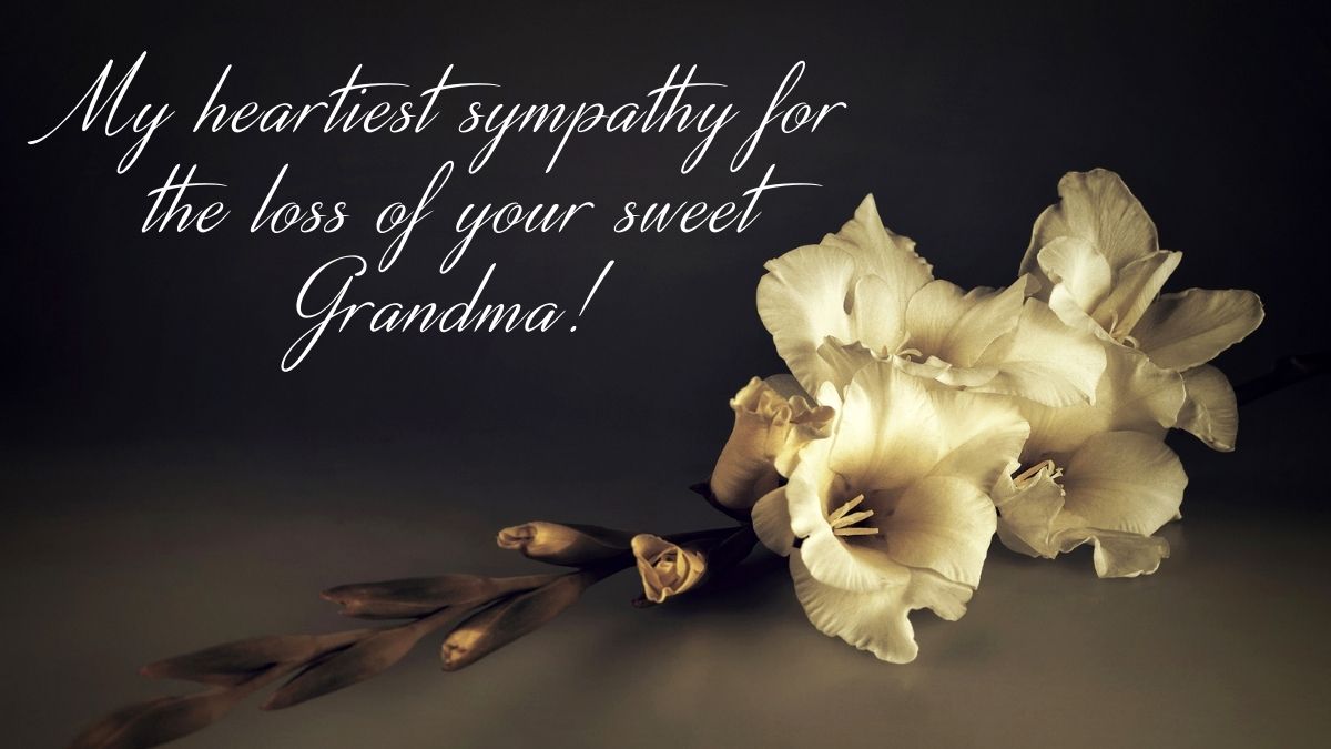 Heartfelt Condolence Messages for Grandmother | Loss of Grandmother Quotes