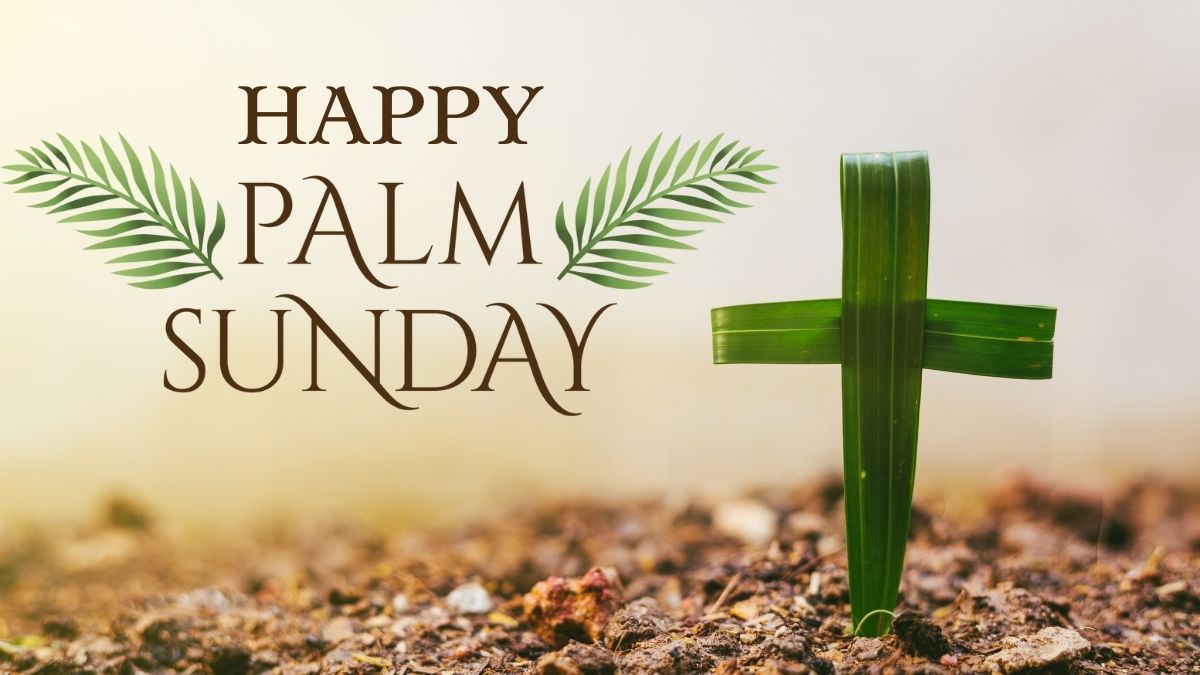 60+ Holy Palm Sunday Images 2022, Wallpapers, Pictures