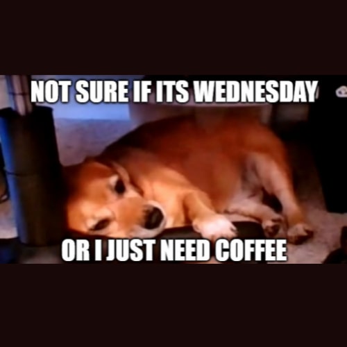 wednesday coffee memes