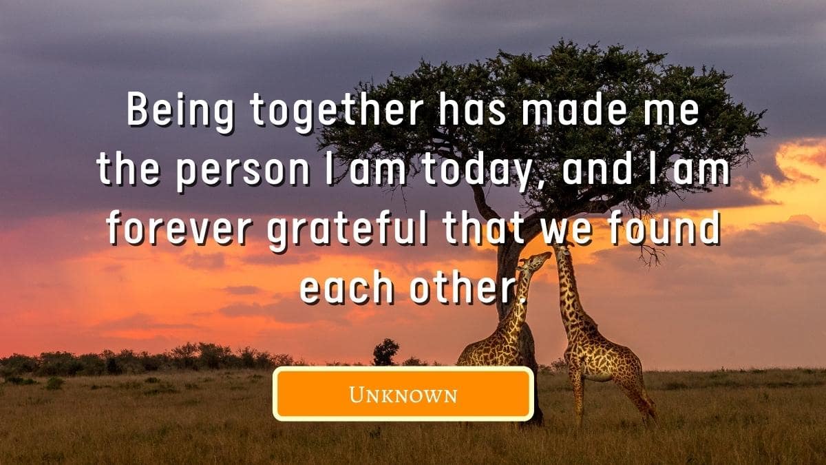 100+ Soulful Together Forever Quotes for Him & Her