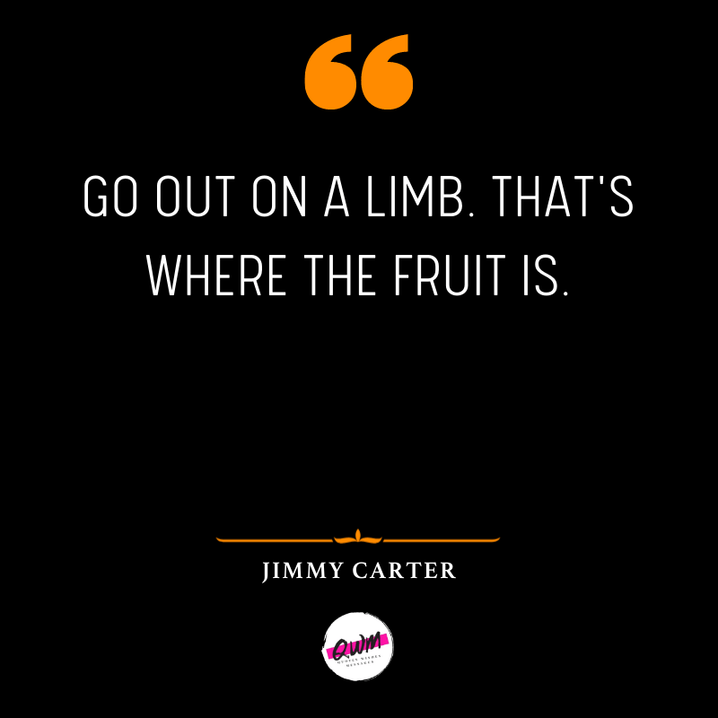 Go out on a limb. That's where the fruit is.